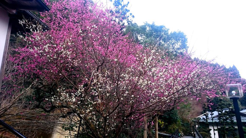 Beppu Showaen Dış mekan fotoğraf