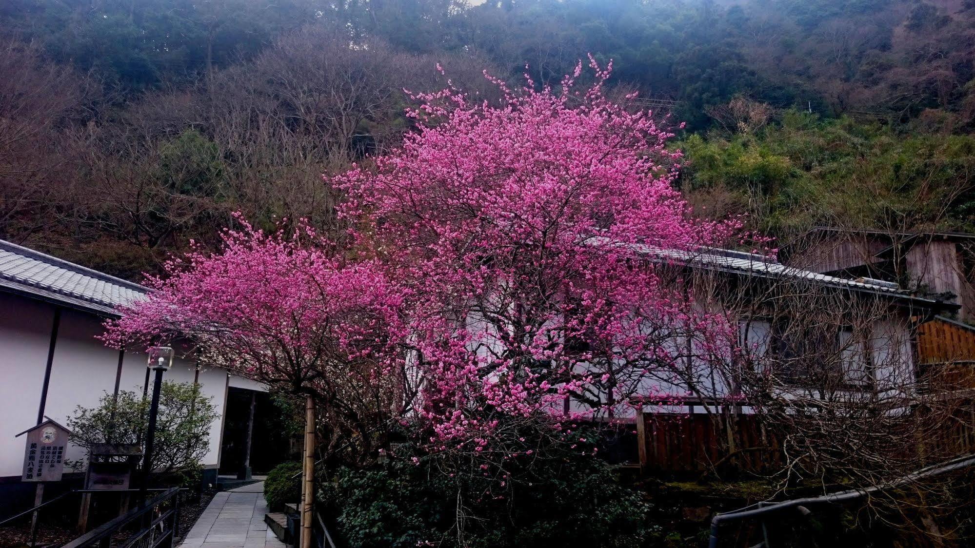 Beppu Showaen Dış mekan fotoğraf